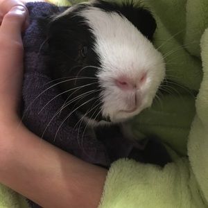 Meet your Posher, Jill